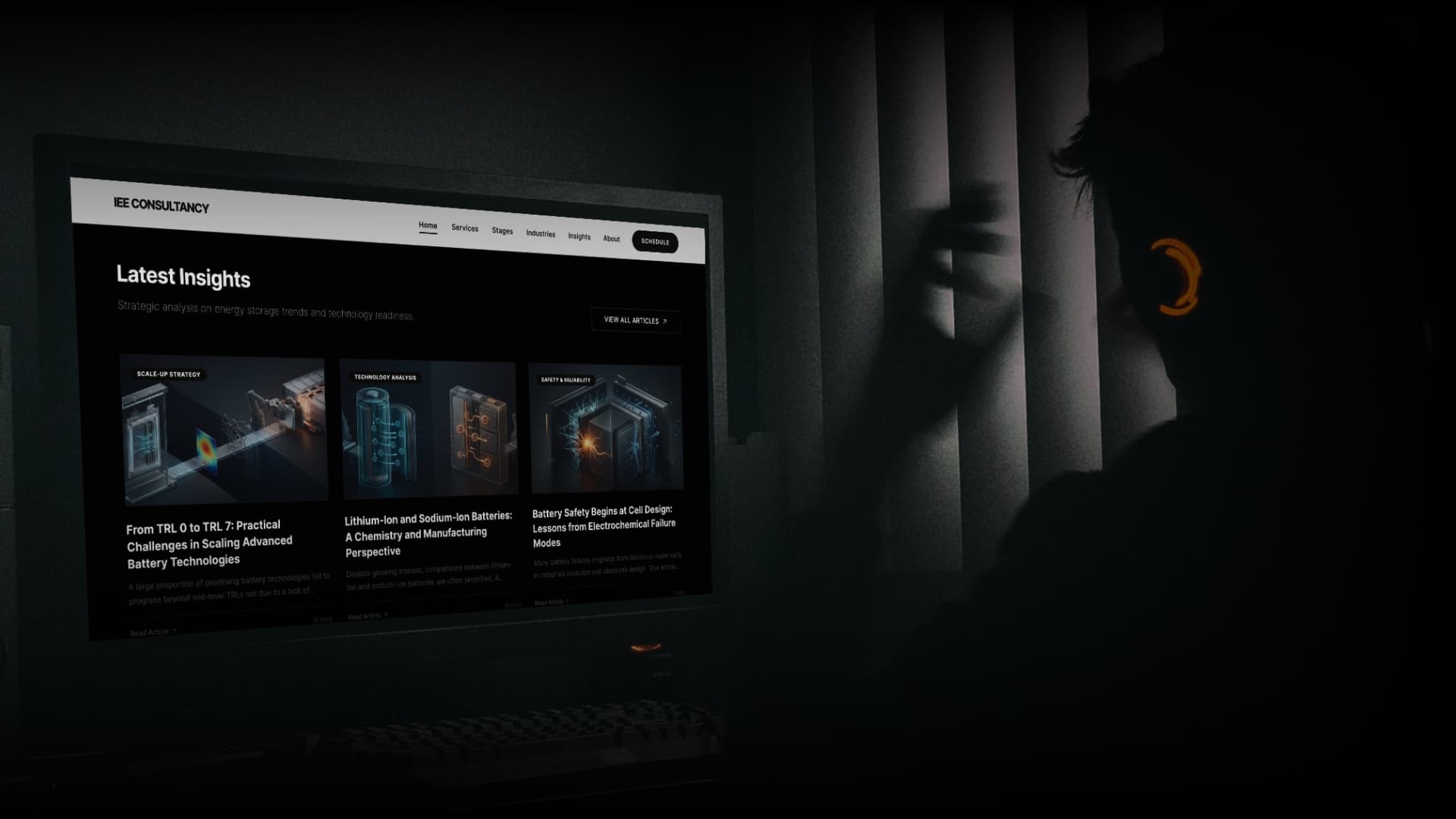 IEE Consultancy — screenshot 1